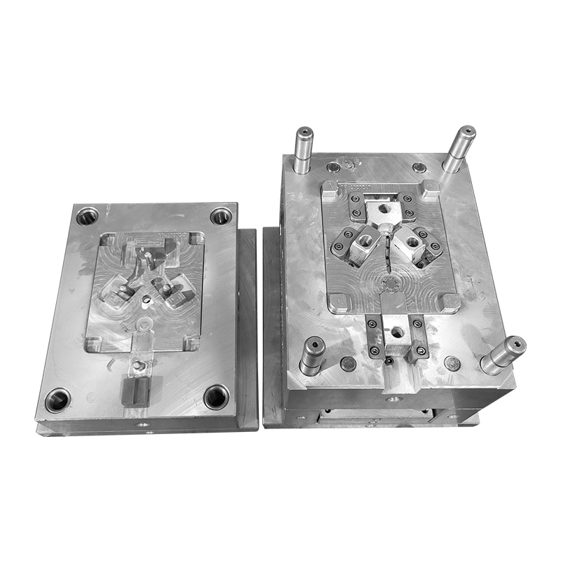 Appliance Industry Mold